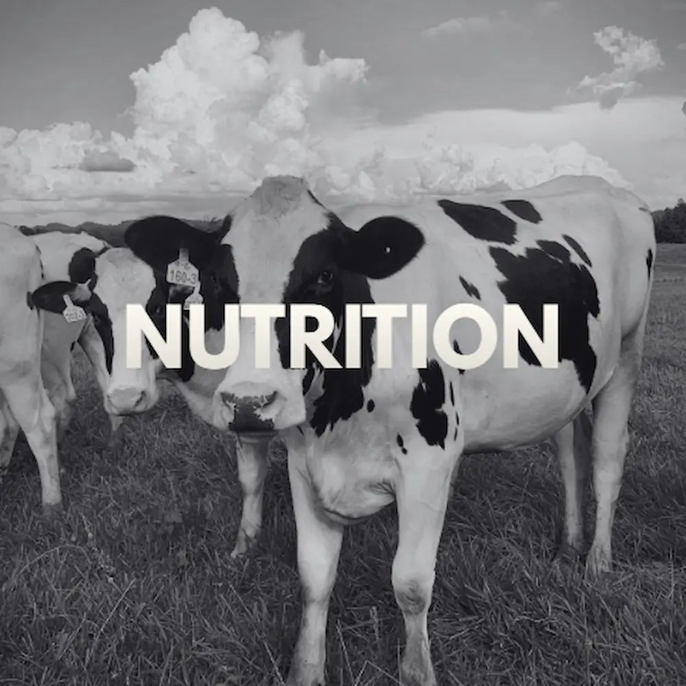 NUTRITION
