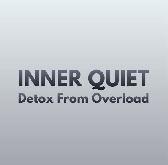 Detox From Overload — INNER QUIET