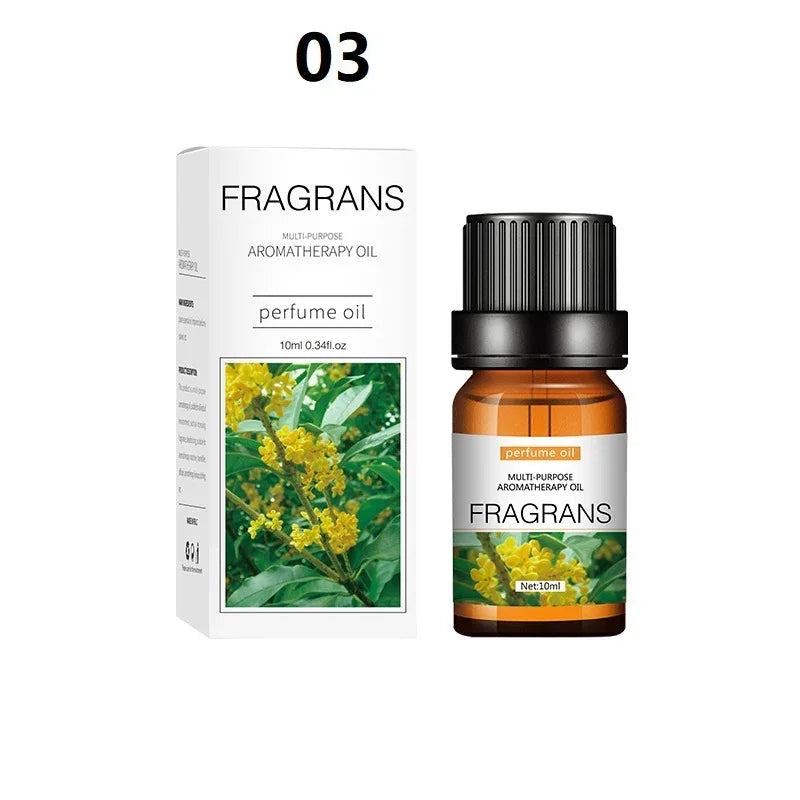 aromatherapy oils natural blends wellness collection